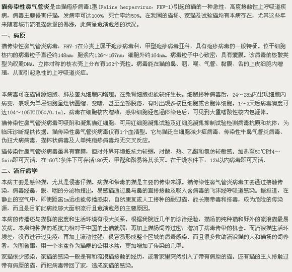 猫咪感冒打喷嚏,猫咪感冒传染吗