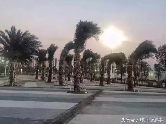 珠海现在还有哪些公园,美爆了的景点