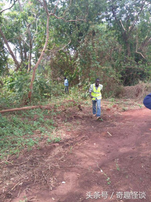 我在非洲工作的日子，给大家介绍下非洲的风土人情