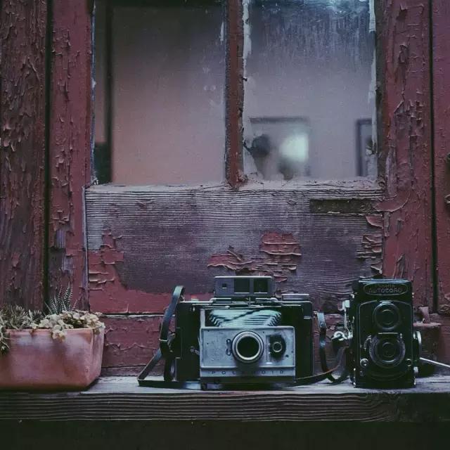 摄影写真排名前十名,摄影十大品牌排行榜前十名