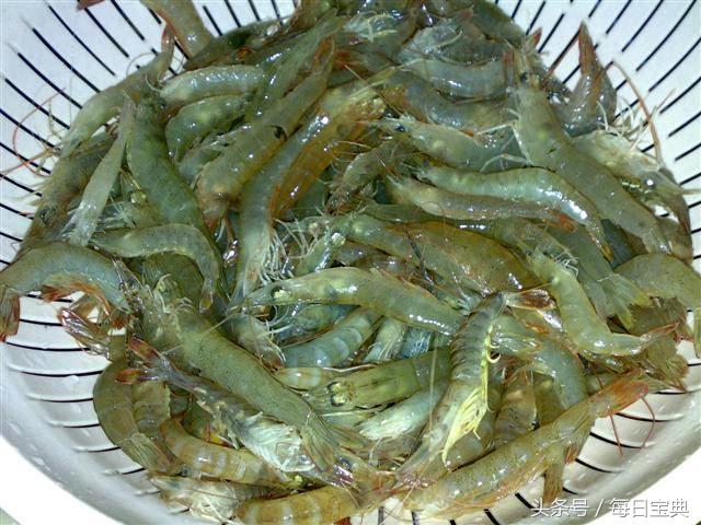 舌尖上的龙虾,品尝正宗龙虾美食的感受