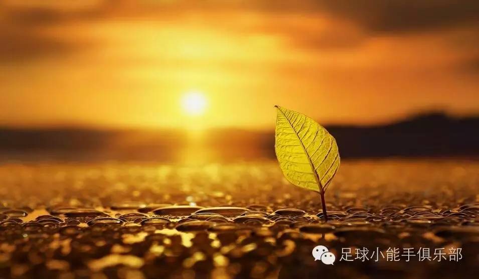 足彩欧洲五大联赛,足彩欧洲五大联赛特点