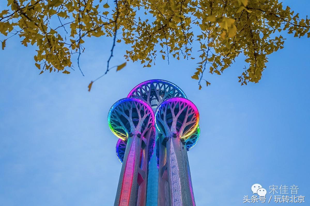 世界上最著名五塔,全世界最大的三塔连体建筑