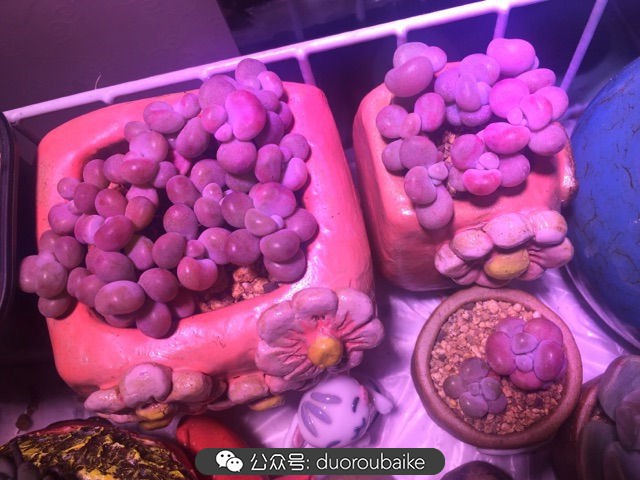 谈谈我对自己的看法,谈谈我对恋爱的看法