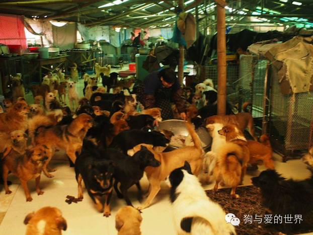 他们是最可爱的人作文700字 (他们是最可爱的人英语)