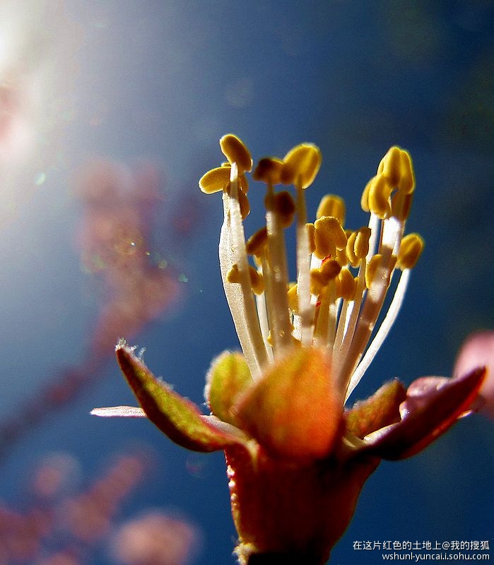 卡片机能拍出大片吗,卡片机能拍出压缩感吗