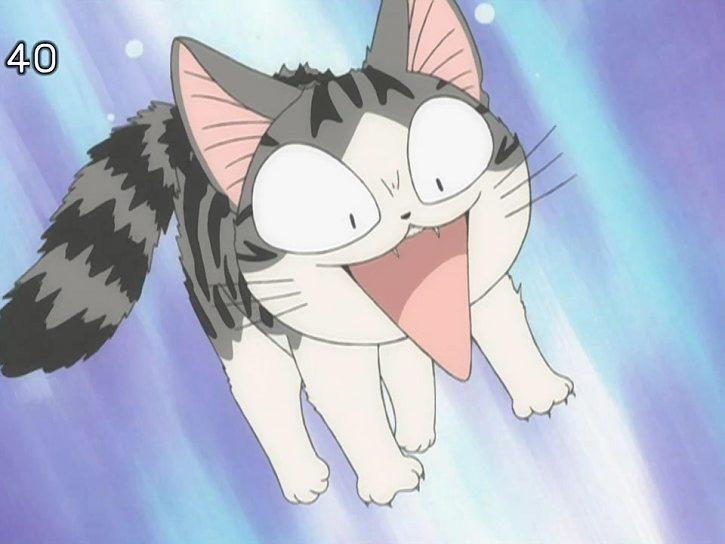 动漫卡通猫的名字,可爱动漫猫图片