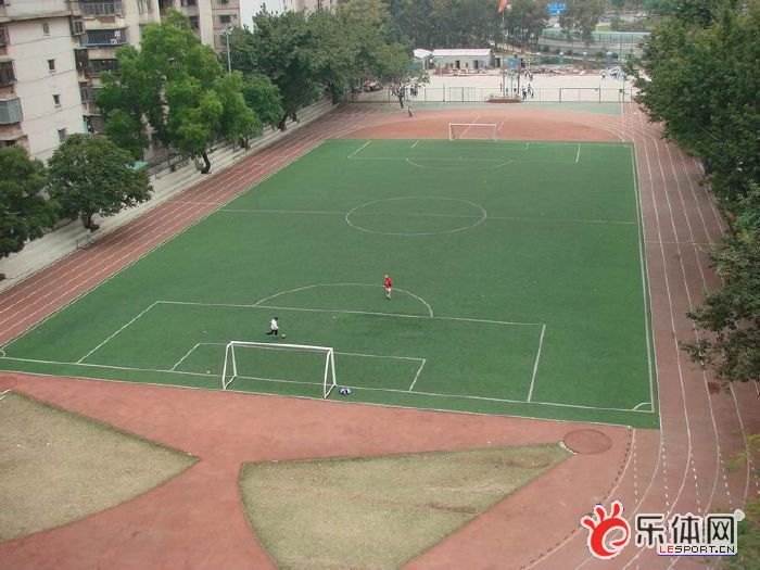 足球场球迷疯狂闯进场内,足球疯狂球迷冲场庆祝