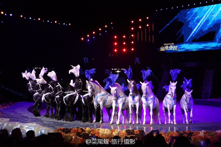 珠海长隆大马戏最佳观看位置,珠海长隆大马戏和长隆秀一样么