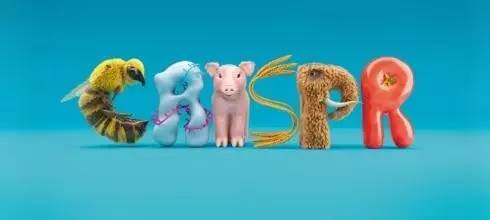 CRISPR疗法走向HIV治愈背景,crispr新突破