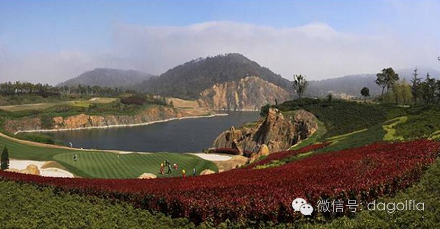 高尔夫优惠团购99元直播,国际高尔夫订场