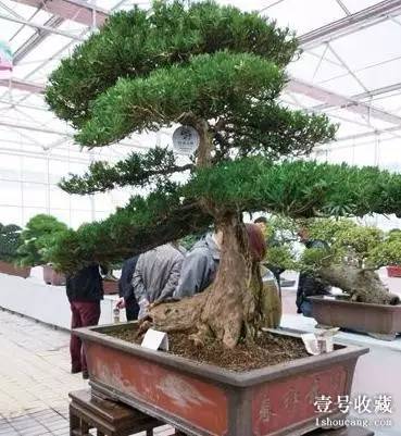 壹闻:地标里藏裸模 彩绘艺术家创人体新玩法