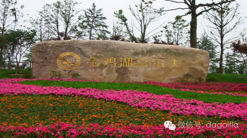 高尔夫球优惠活动,最实惠的高尔夫订场网