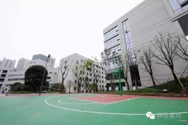 重庆互联网学院怎么样,重庆互联网学院图示