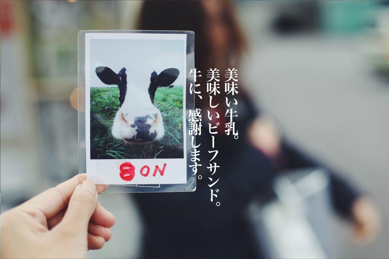 吃遍日本寿司,吃遍日本美食视频