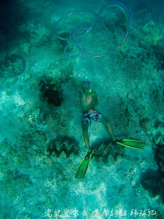 帕劳世界七大海底奇观,帕劳夕阳奇观图片