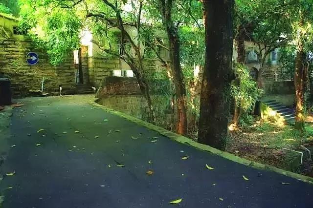 错过美丽的风景,厦门鼓浪屿的风景特别美