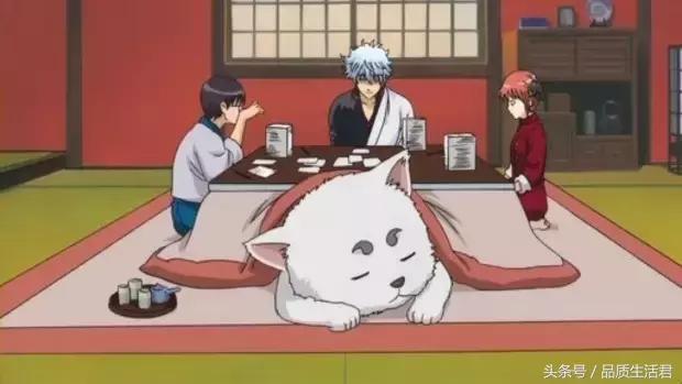 有了神奇的桌子，你和猫星人再也不怕冷了！