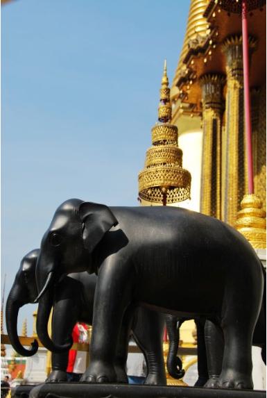 来心泰心厨吃出好心态！