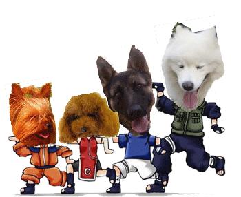 今年你脱单吗,今年的你脱单吗