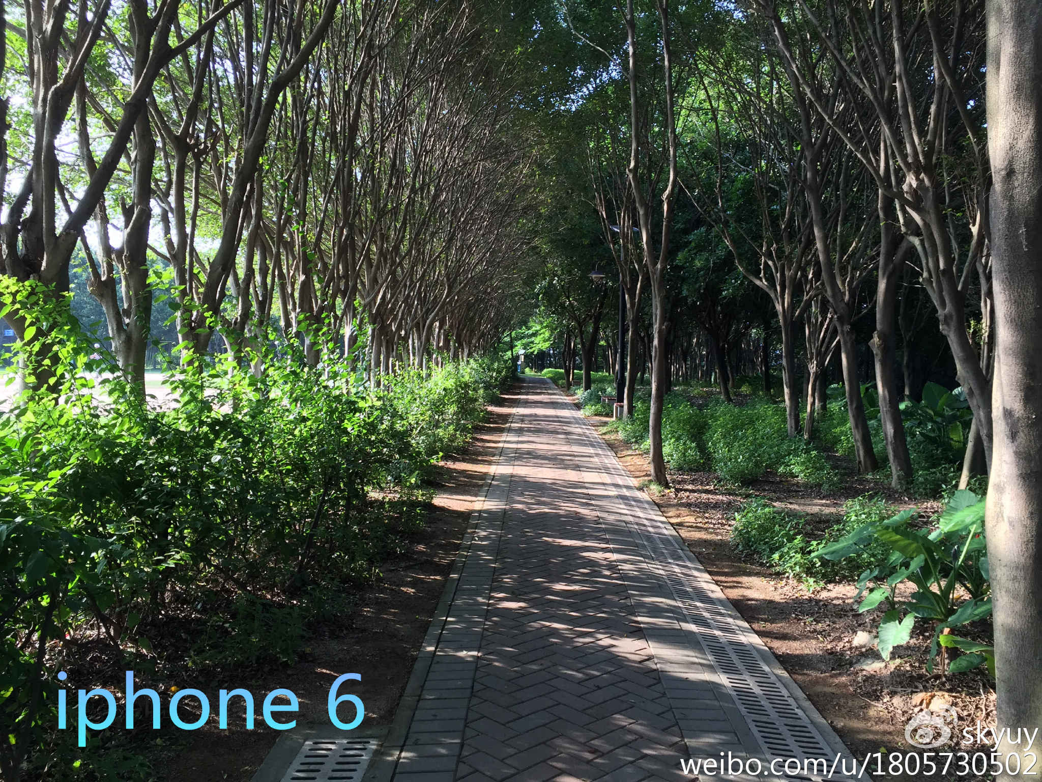 荣耀v8pro一年感受,荣耀V8测评