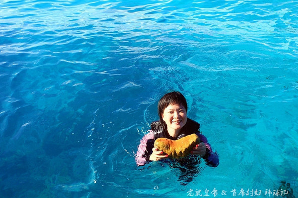 帕劳海底世界完整视频,帕劳潜水遇到的海底生物