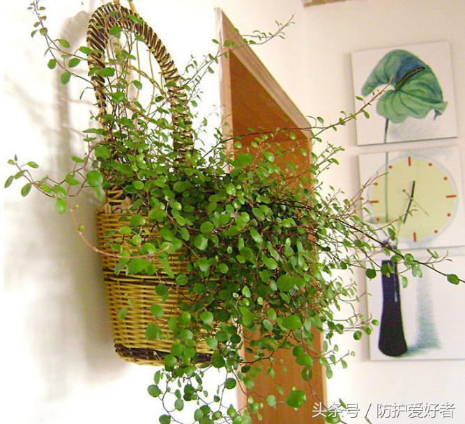 甲醛超标的10个征兆,甲醛含量高的十大真相