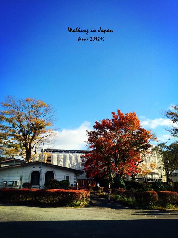 霓虹国秋日暴走之旅,漫步日本旅行游记