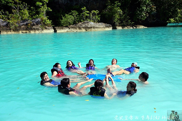 帕劳海底世界完整视频,帕劳潜水遇到的海底生物