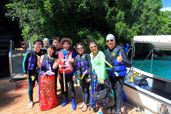 帕劳海底世界完整视频,帕劳潜水遇到的海底生物