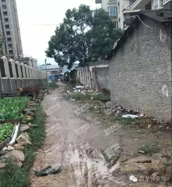 盘龙城值不值得去,盘龙城升值空间大