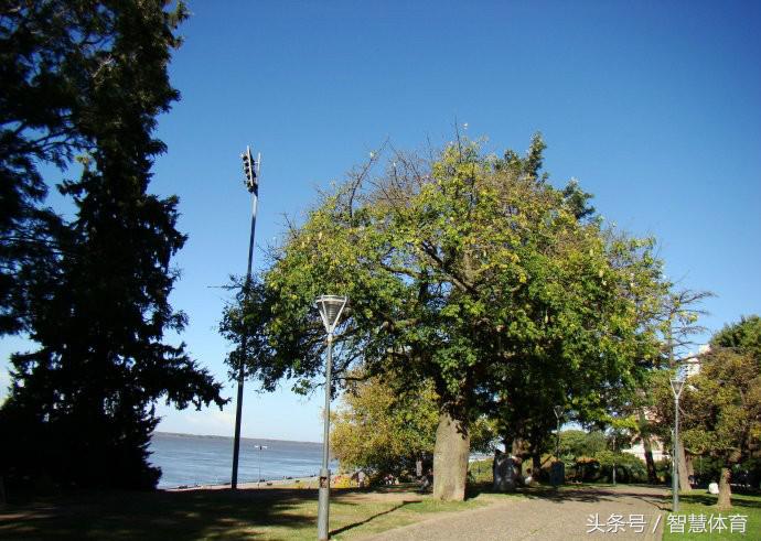 涓嶅繕鍒濆績鏂瑰緱濮嬬粓姊呰タ,涓嶅繕鍒濆績鏂瑰緱濮嬬粓姊﹀紑濮嬬殑鍦版柟