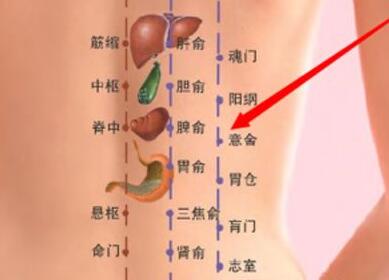 动动手舒筋活血,动动手指健脑
