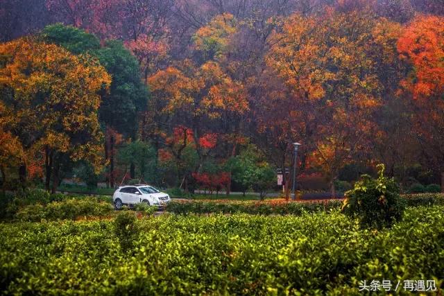 皖南有几条自驾线,皖南一条天路