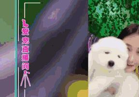 张若昀演的唐山海是什么电视剧,张若昀唐山海美照