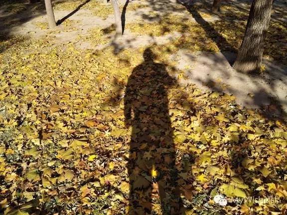 全面升级nubiaZ11miniS或许是最好的一代小牛