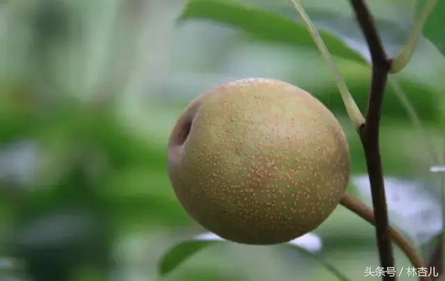 脸上长斑怎么办六个祛斑小妙招,脸长斑有什么方法祛斑