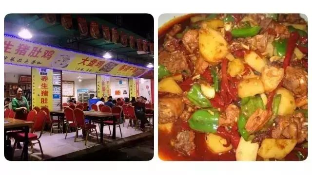 西柚记优惠,西柚记旅游