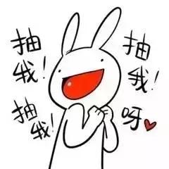 西博会旅游详细攻略,西博会2023年攻略