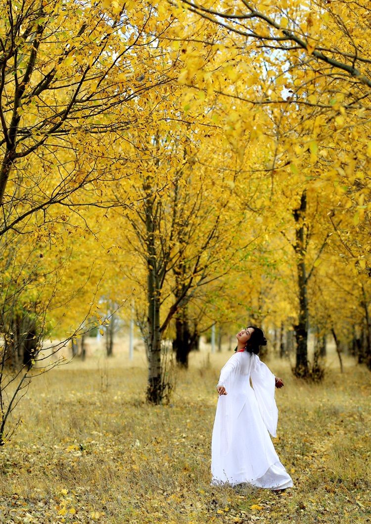 我在秋天等你是什么歌,我在秋天等你美到心碎散文