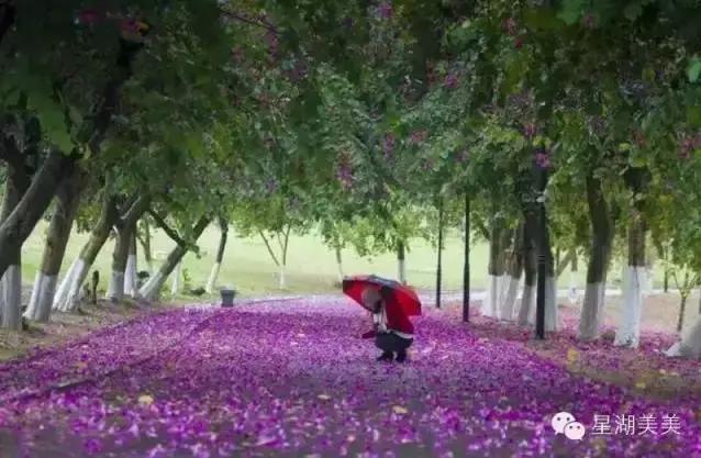 肇庆发起了一条好友印象墙