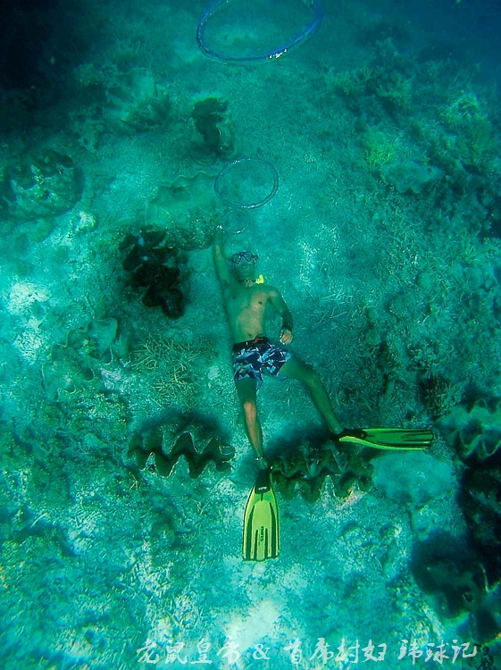 帕劳世界七大海底奇观,帕劳夕阳奇观图片