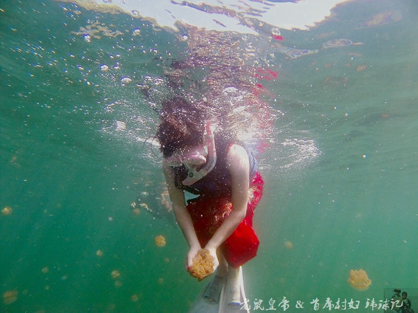 帕劳世界七大海底奇观,帕劳夕阳奇观图片