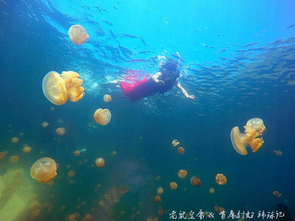 帕劳世界七大海底奇观,帕劳夕阳奇观图片