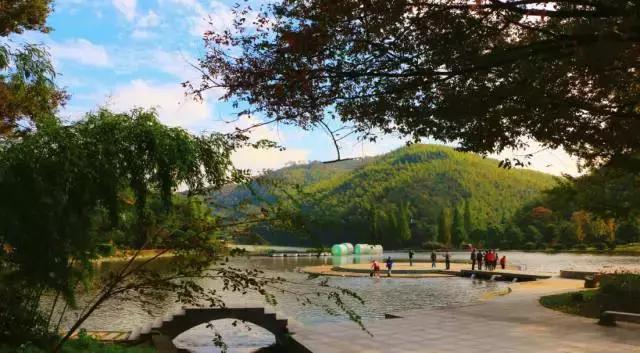 在宜兴竹海，阅读作家笔下的秋！