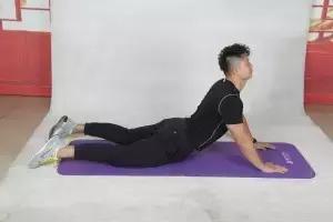 练一练,远离腰痛(腰椎锻炼手册)