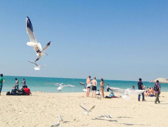 一生必须去一次这样的地方,一生一定要去体验一次