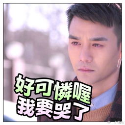 王凯靖王帅气,王凯王鸥表情包