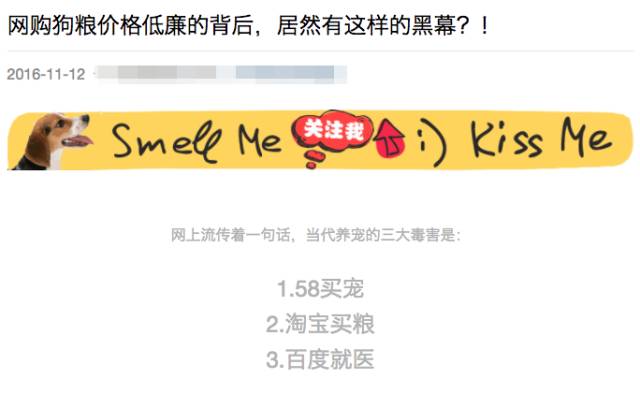 狗粮出口中亚,国外进口狗粮