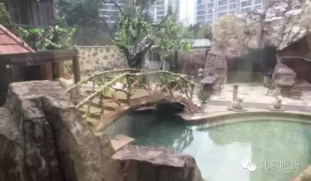 抓紧时间“约泡”才是大冬天最正经的事儿!